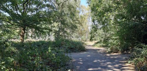 Seasonal shifts and&nbsp;inspiration